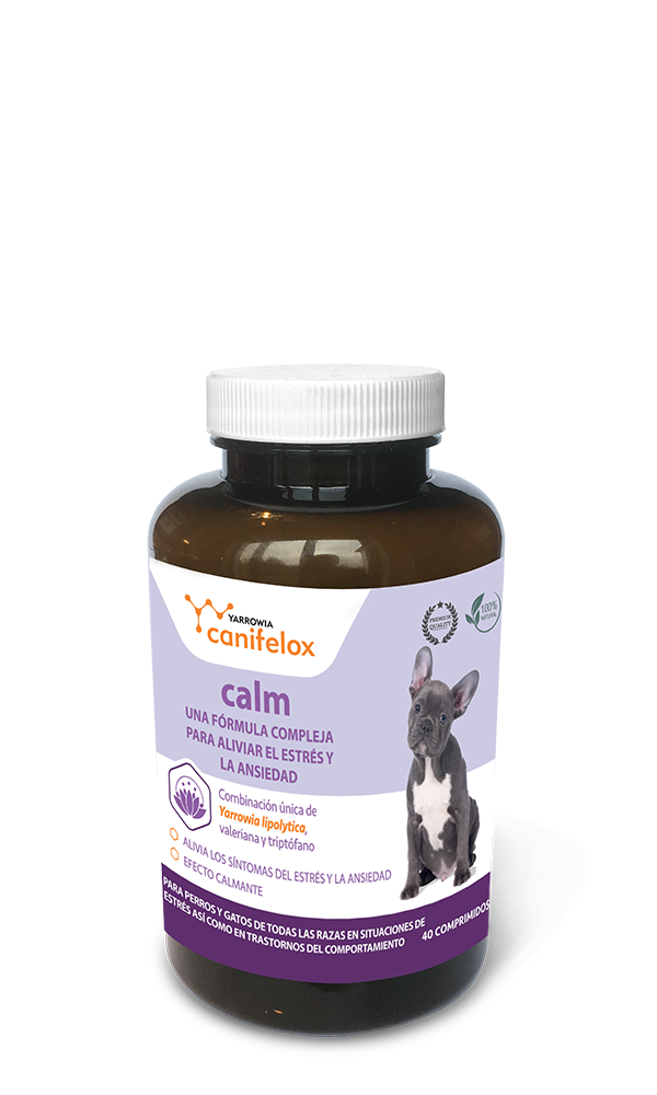 Yarrowia Canifelox Calm Dog