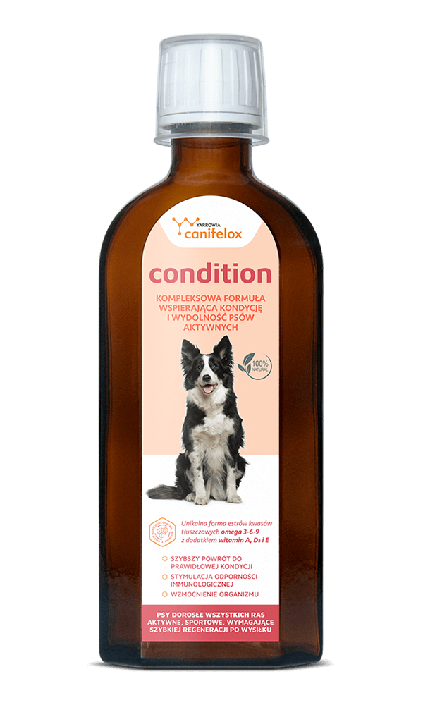 Yarrowia Canifelox Condition Dog