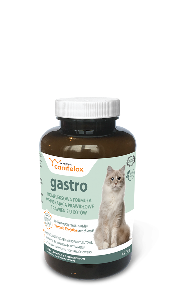 Yarrowia Canifelox Gastro Cat