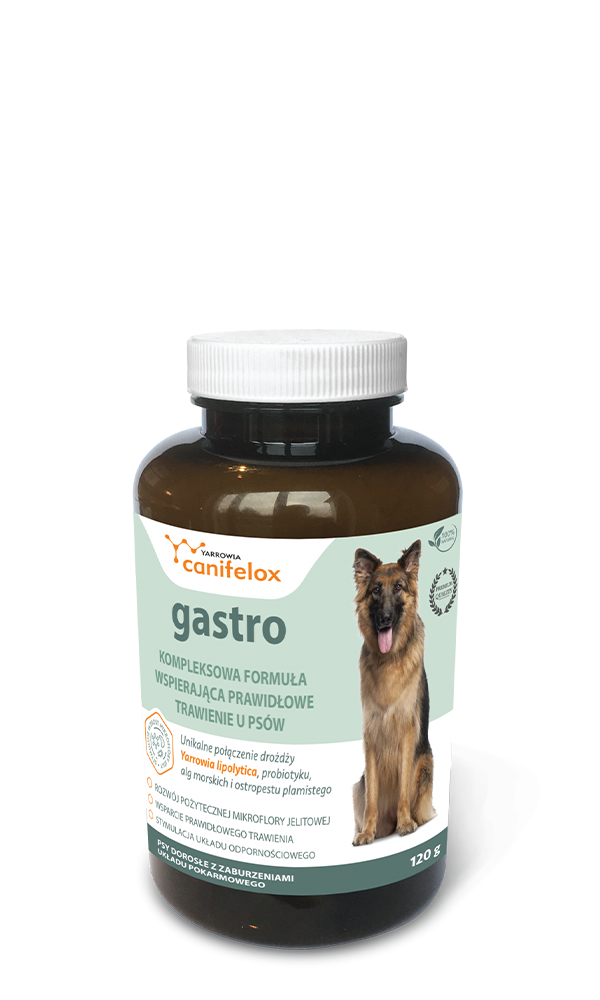 Yarrowia Canifelox Gastro Dog