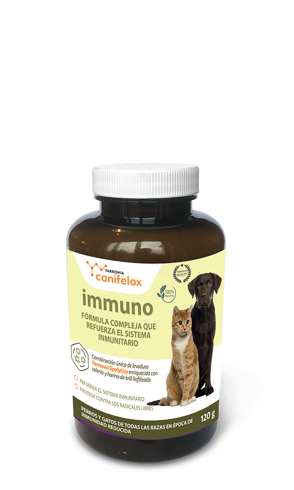 Yarrowia Canifelox Immuno Cat Dog
