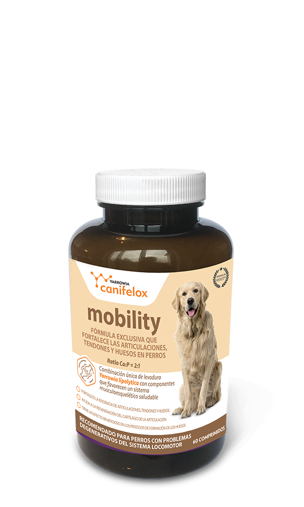 Yarrowia Canifelox Mobility dog