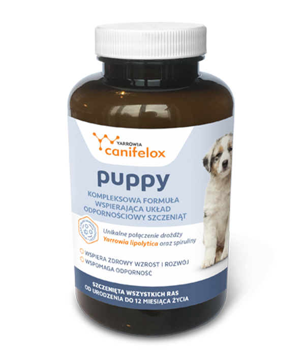 Yarrowia Canifelox Puppy Dog