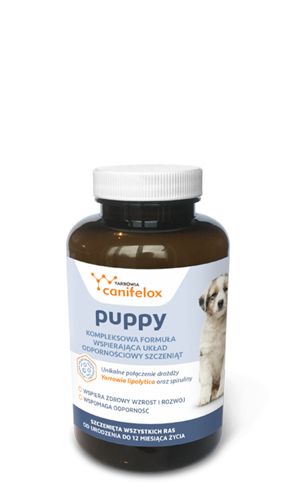 Yarrowia Canifelox Puppy Dog