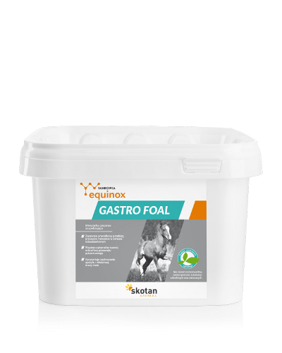 Yarrowia Equinox Gastro foal
