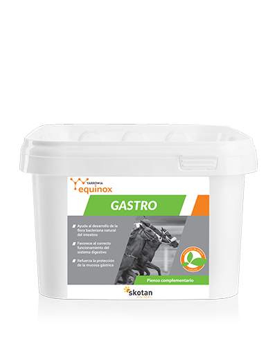 Yarrowia Equinox Gastro
