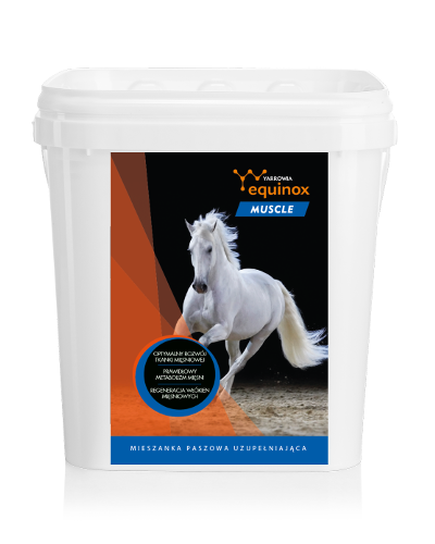 Yarrowia Equinox Muscle